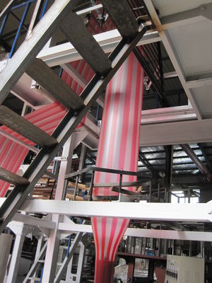 Porcellana macchina di salto del film del LDPE/HDPE di colore del doppio di larghezza di 600mm fornitore